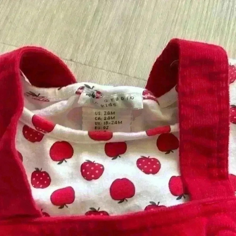 Max Studio Apple Skirtalls Outfit size 24 months